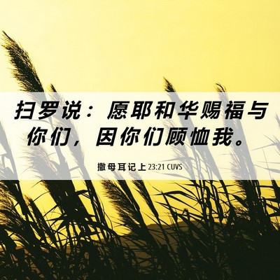 Picture 06 - 撒 母 耳 记 上 23:21 CUVS - 扫 罗 说 ： 愿 耶 和 华 赐 福 与 你 - Bible Verse Picture