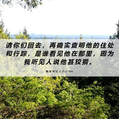 Picture 06 - 撒 母 耳 记 上 23:22 CUVS - 请 你 们 回 去 ， 再 确 实 查 明 他 - Bible Verse Picture