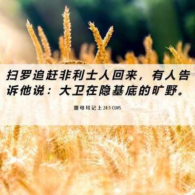 Picture 06 - 撒 母 耳 记 上 24:1 CUVS - 扫 罗 追 赶 非 利 士 人 回 来 ， 有 - Bible Verse Picture