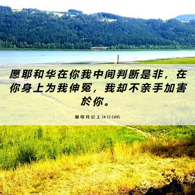 Picture 06 - 撒 母 耳 记 上 24:12 CUVS - 愿 耶 和 华 在 你 我 中 间 判 断 是 - Bible Verse Picture