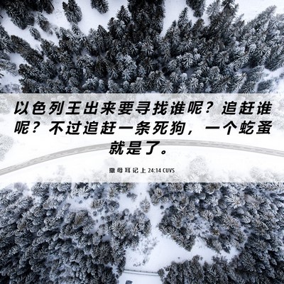 Picture 06 - 撒 母 耳 记 上 24:14 CUVS - 以 色 列 王 出 来 要 寻 找 谁 呢 ？ - Bible Verse Picture