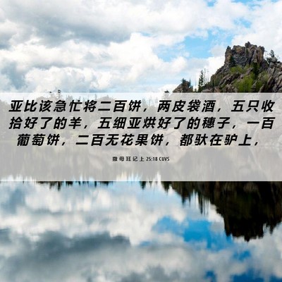 Picture 06 - 撒 母 耳 记 上 25:18 CUVS - 亚 比 该 急 忙 将 二 百 饼 ， 两 皮 - Bible Verse Picture