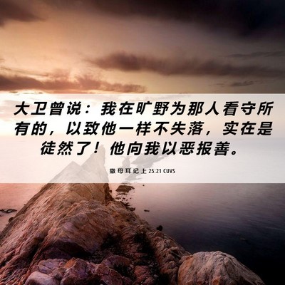 Picture 06 - 撒 母 耳 记 上 25:21 CUVS - 大 卫 曾 说 ： 我 在 旷 野 为 那 人 - Bible Verse Picture
