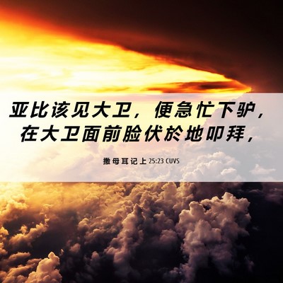 Picture 06 - 撒 母 耳 记 上 25:23 CUVS - 亚 比 该 见 大 卫 ， 便 急 忙 下 驴 - Bible Verse Picture