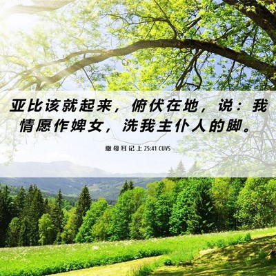 Picture 06 - 撒 母 耳 记 上 25:41 CUVS - 亚 比 该 就 起 来 ， 俯 伏 在 地 ， - Bible Verse Picture
