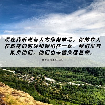 Picture 06 - 撒 母 耳 记 上 25:7 CUVS - 现 在 我 听 说 有 人 为 你 剪 羊 毛 - Bible Verse Picture