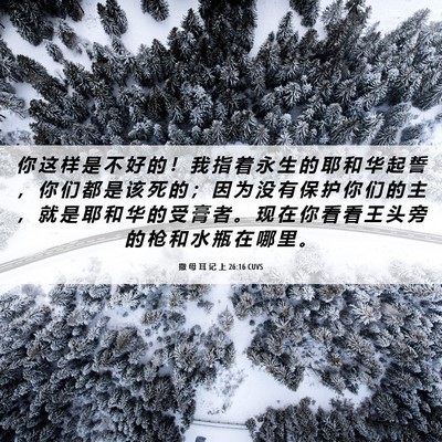 Picture 06 - 撒 母 耳 记 上 26:16 CUVS - 你 这 样 是 不 好 的 ！ 我 指 着 永 - Bible Verse Picture