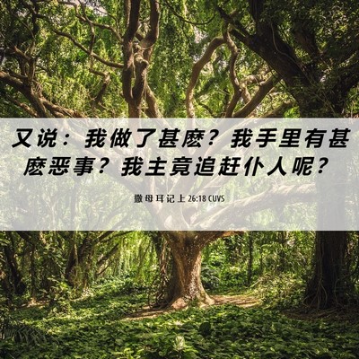 Picture 06 - 撒 母 耳 记 上 26:18 CUVS - 又 说 ： 我 做 了 甚 麽 ？ 我 手 里 - Bible Verse Picture