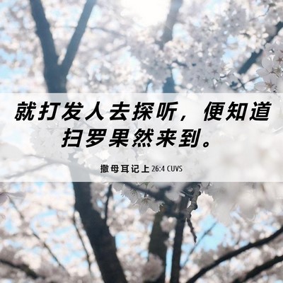 Picture 06 - 撒 母 耳 记 上 26:4 CUVS - 就 打 发 人 去 探 听 ， 便 知 道 扫 - Bible Verse Picture