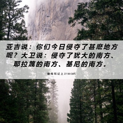 Picture 06 - 撒 母 耳 记 上 27:10 CUVS - 亚 吉 说 ： 你 们 今 日 侵 夺 了 甚 - Bible Verse Picture
