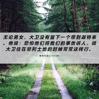 Picture 06 - 撒 母 耳 记 上 27:11 CUVS - 无 论 男 女 ， 大 卫 没 有 留 下 一 - Bible Verse Picture
