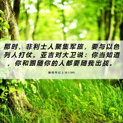 Picture 06 - 撒 母 耳 记 上 28:1 CUVS - 那 时 ， 非 利 士 人 聚 集 军 旅 ， - Bible Verse Picture