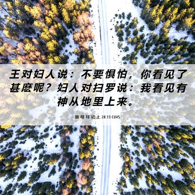 Picture 06 - 撒 母 耳 记 上 28:13 CUVS - 王 对 妇 人 说 ： 不 要 惧 怕 ， 你 - Bible Verse Picture