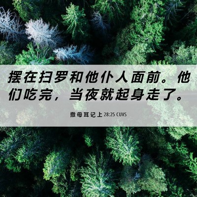Picture 06 - 撒 母 耳 记 上 28:25 CUVS - 摆 在 扫 罗 和 他 仆 人 面 前 。 他 - Bible Verse Picture