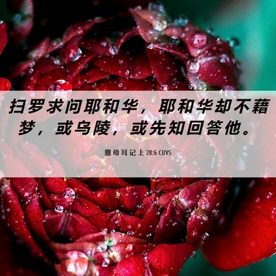Picture 06 - 撒 母 耳 记 上 28:6 CUVS - 扫 罗 求 问 耶 和 华 ， 耶 和 华 却 - Bible Verse Picture
