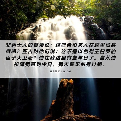 Picture 06 - 撒 母 耳 记 上 29:3 CUVS - 非 利 士 人 的 首 领 说 ： 这 些 希 - Bible Verse Picture