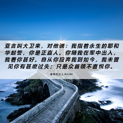 Picture 06 - 撒 母 耳 记 上 29:6 CUVS - 亚 吉 叫 大 卫 来 ， 对 他 说 ： 我 - Bible Verse Picture