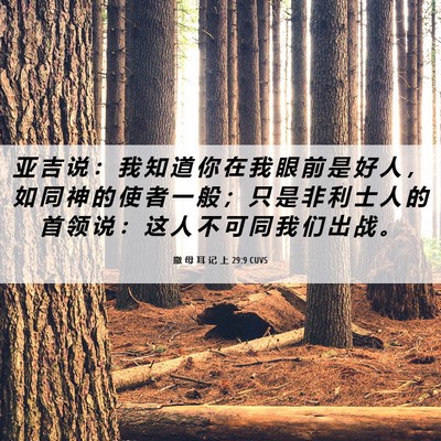 Picture 06 - 撒 母 耳 记 上 29:9 CUVS - 亚 吉 说 ： 我 知 道 你 在 我 眼 前 - Bible Verse Picture