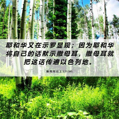 Picture 06 - 撒 母 耳 记 上 3:21 CUVS - 耶 和 华 又 在 示 罗 显 现 ； 因 为 - Bible Verse Picture