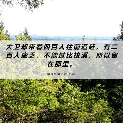 Picture 06 - 撒 母 耳 记 上 30:10 CUVS - 大 卫 却 带 着 四 百 人 往 前 追 赶 - Bible Verse Picture