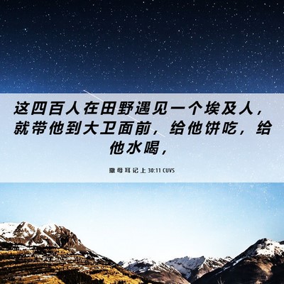 Picture 06 - 撒 母 耳 记 上 30:11 CUVS - 这 四 百 人 在 田 野 遇 见 一 个 埃 - Bible Verse Picture