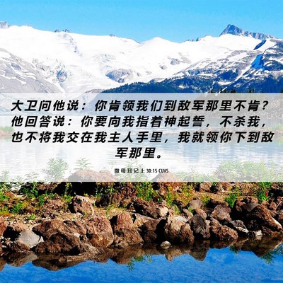Picture 06 - 撒 母 耳 记 上 30:15 CUVS - 大 卫 问 他 说 ： 你 肯 领 我 们 到 - Bible Verse Picture