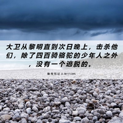 Picture 06 - 撒 母 耳 记 上 30:17 CUVS - 大 卫 从 黎 明 直 到 次 日 晚 上 ， - Bible Verse Picture