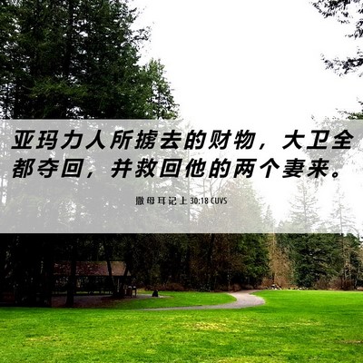 Picture 06 - 撒 母 耳 记 上 30:18 CUVS - 亚 玛 力 人 所 掳 去 的 财 物 ， 大 - Bible Verse Picture