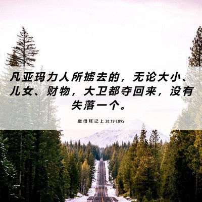 Picture 06 - 撒 母 耳 记 上 30:19 CUVS - 凡 亚 玛 力 人 所 掳 去 的 ， 无 论 - Bible Verse Picture