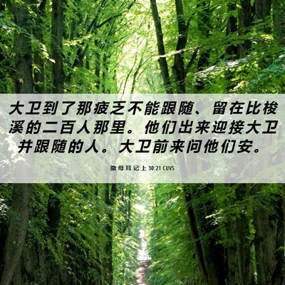 Picture 06 - 撒 母 耳 记 上 30:21 CUVS - 大 卫 到 了 那 疲 乏 不 能 跟 随 、 - Bible Verse Picture