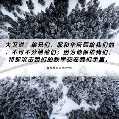 Picture 06 - 撒 母 耳 记 上 30:23 CUVS - 大 卫 说 ： 弟 兄 们 ， 耶 和 华 所 - Bible Verse Picture