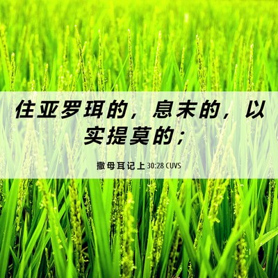 Picture 06 - 撒 母 耳 记 上 30:28 CUVS - 住 亚 罗 珥 的 ， 息 末 的 ， 以 实 - Bible Verse Picture