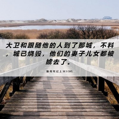 Picture 06 - 撒 母 耳 记 上 30:3 CUVS - 大 卫 和 跟 随 他 的 人 到 了 那 城 - Bible Verse Picture