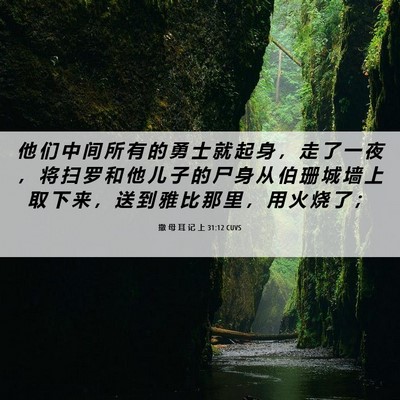 Picture 06 - 撒 母 耳 记 上 31:12 CUVS - 他 们 中 间 所 有 的 勇 士 就 起 身 - Bible Verse Picture