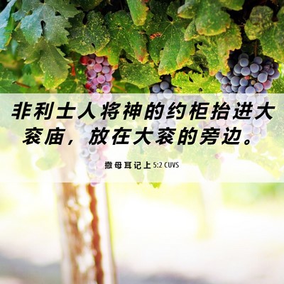 Picture 06 - 撒 母 耳 记 上 5:2 CUVS - 非 利 士 人 将 神 的 约 柜 抬 进 大 - Bible Verse Picture