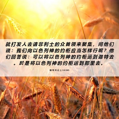 Picture 06 - 撒 母 耳 记 上 5:8 CUVS - 就 打 发 人 去 请 非 利 士 的 众 首 - Bible Verse Picture
