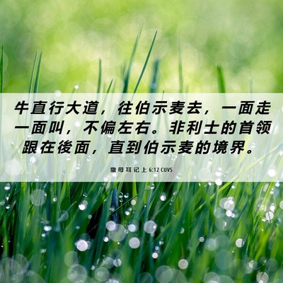 Picture 06 - 撒 母 耳 记 上 6:12 CUVS - 牛 直 行 大 道 ， 往 伯 示 麦 去 ， - Bible Verse Picture