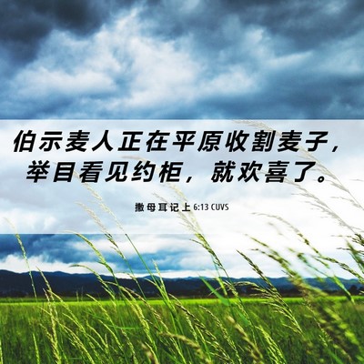 Picture 06 - 撒 母 耳 记 上 6:13 CUVS - 伯 示 麦 人 正 在 平 原 收 割 麦 子 - Bible Verse Picture