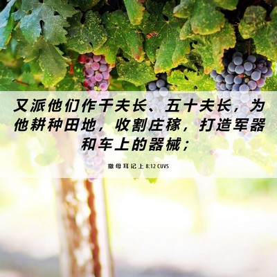 Picture 06 - 撒 母 耳 记 上 8:12 CUVS - 又 派 他 们 作 千 夫 长 、 五 十 夫 - Bible Verse Picture
