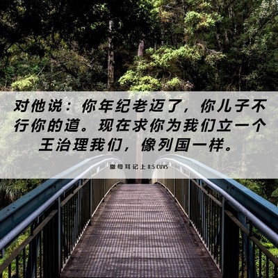 Picture 06 - 撒 母 耳 记 上 8:5 CUVS - 对 他 说 ： 你 年 纪 老 迈 了 ， 你 - Bible Verse Picture