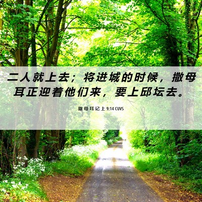 Picture 06 - 撒 母 耳 记 上 9:14 CUVS - 二 人 就 上 去 ； 将 进 城 的 时 候 - Bible Verse Picture