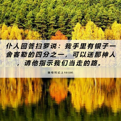 Picture 06 - 撒 母 耳 记 上 9:8 CUVS - 仆 人 回 答 扫 罗 说 ： 我 手 里 有 - Bible Verse Picture