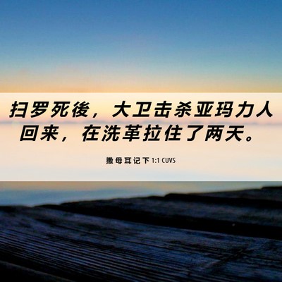 Picture 06 - 撒 母 耳 记 下 1:1 CUVS - 扫 罗 死 後 ， 大 卫 击 杀 亚 玛 力 - Bible Verse Picture
