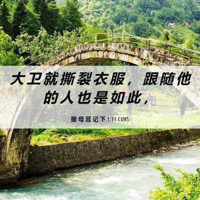 Picture 06 - 撒 母 耳 记 下 1:11 CUVS - 大 卫 就 撕 裂 衣 服 ， 跟 随 他 的 - Bible Verse Picture