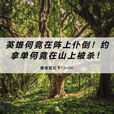 Picture 06 - 撒 母 耳 记 下 1:25 CUVS - 英 雄 何 竟 在 阵 上 仆 倒 ！ 约 拿 - Bible Verse Picture