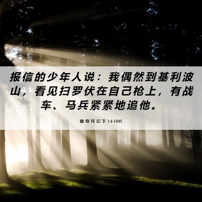 Picture 06 - 撒 母 耳 记 下 1:6 CUVS - 报 信 的 少 年 人 说 ： 我 偶 然 到 - Bible Verse Picture