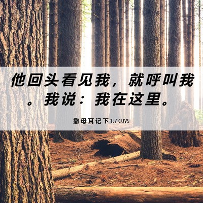 Picture 06 - 撒 母 耳 记 下 1:7 CUVS - 他 回 头 看 见 我 ， 就 呼 叫 我 。 - Bible Verse Picture