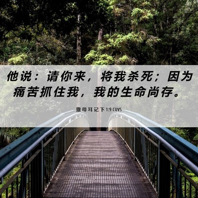 Picture 06 - 撒 母 耳 记 下 1:9 CUVS - 他 说 ： 请 你 来 ， 将 我 杀 死 ； - Bible Verse Picture