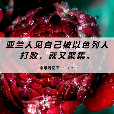 Picture 06 - 撒 母 耳 记 下 10:15 CUVS - 亚 兰 人 见 自 己 被 以 色 列 人 打 - Bible Verse Picture
