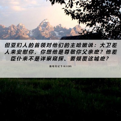 Picture 06 - 撒 母 耳 记 下 10:3 CUVS - 但 亚 扪 人 的 首 领 对 他 们 的 主 - Bible Verse Picture